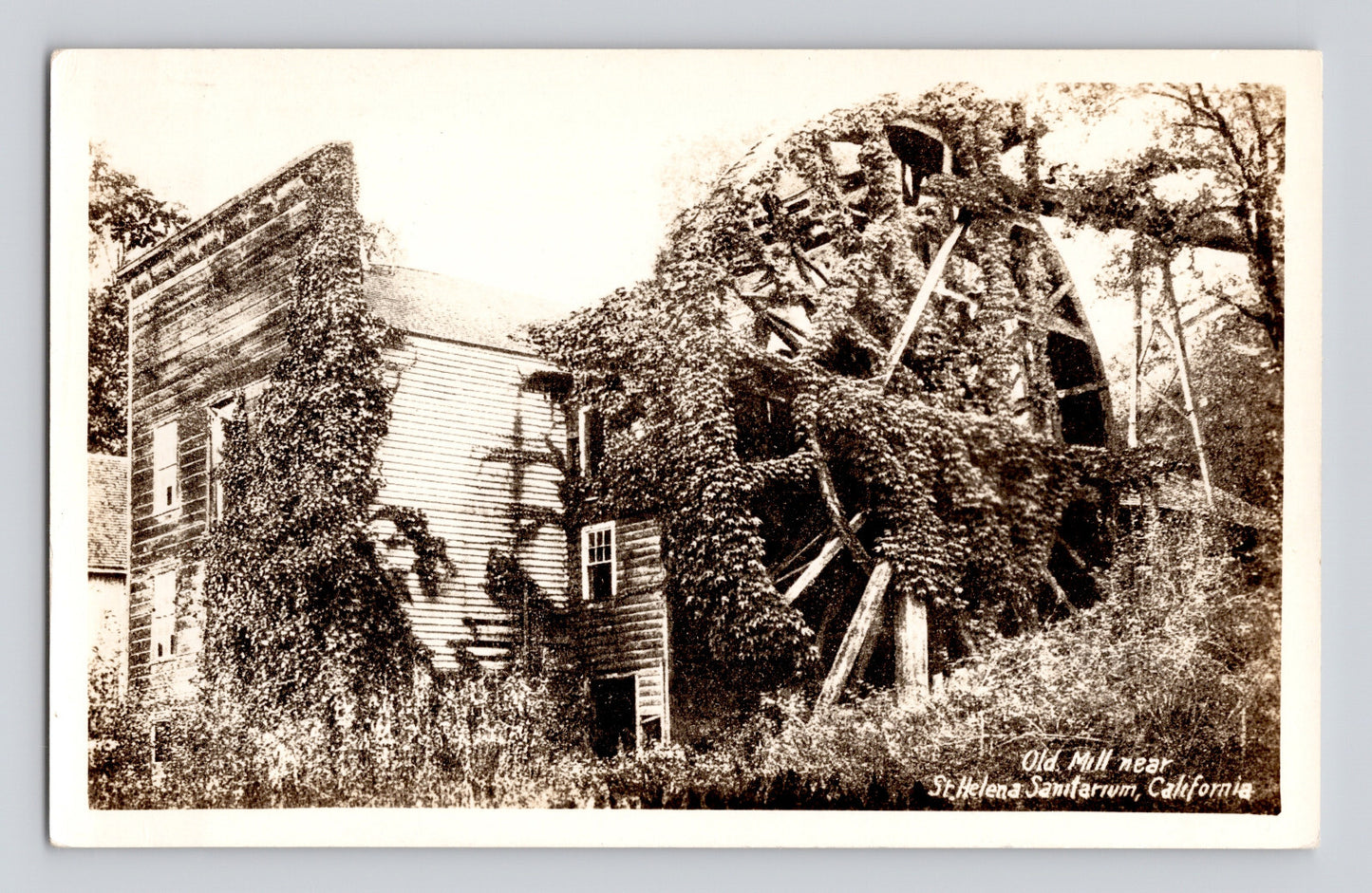 St Helena California Bale Grist Mill water wheel historic mill building 1940s photo postcard