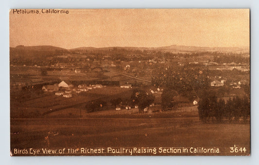 Petaluma California birds eye view poultry farms landscape 1910s postcard
