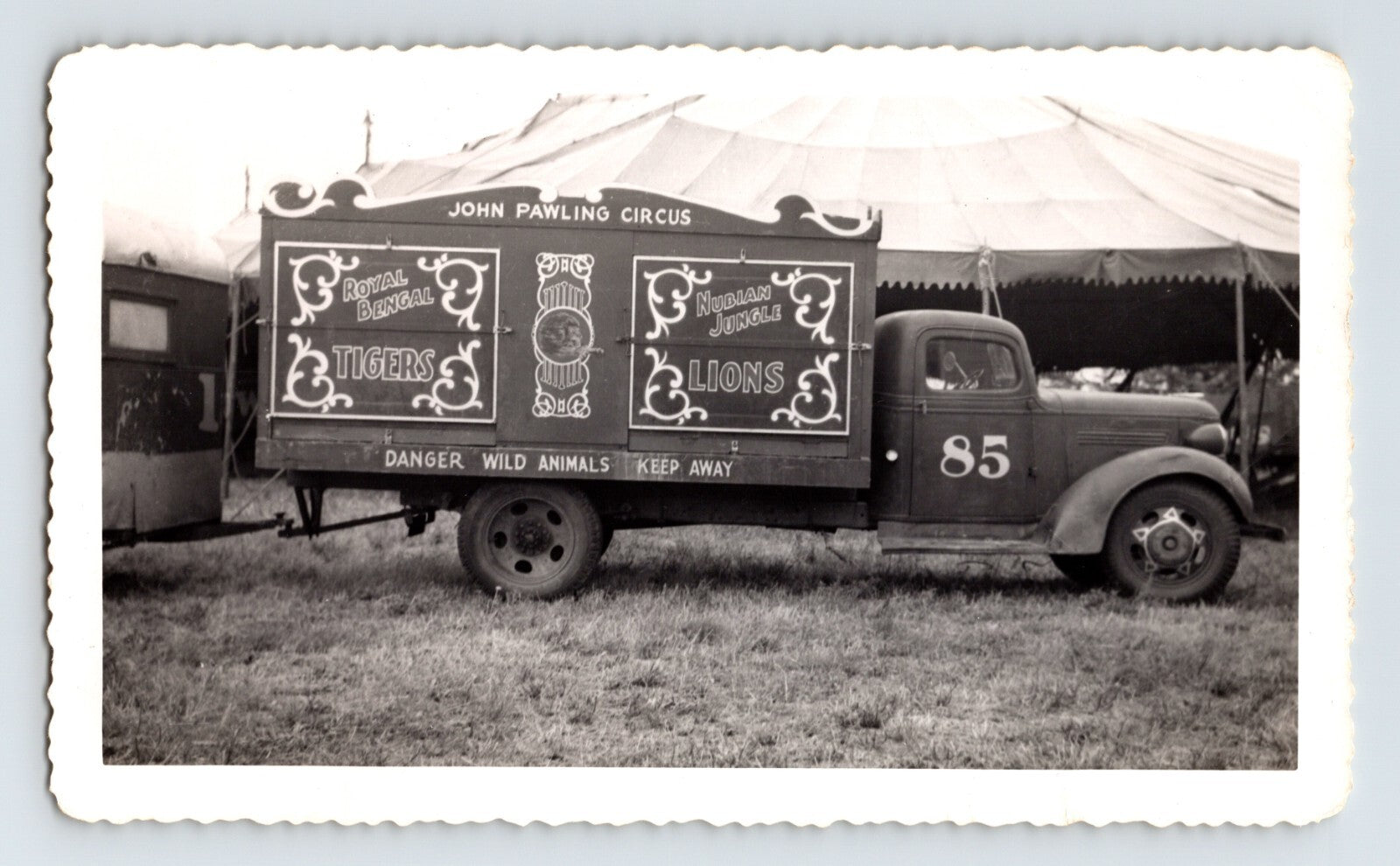 1949 John Pawling Circus truck with wild animal cage panel lettering for tigers and lions parked beside circus tent, 5.5 x 3.5 photograph