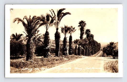 Springville Highway near Porterville California lined with tall palm trees 1930s real photo postcard