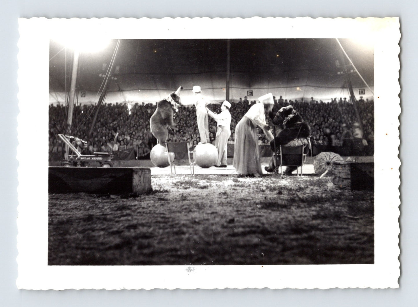 Ringling Bros Barnum Bailey Circus Bear Performance Ring 1940s Photo 3 x 4.5