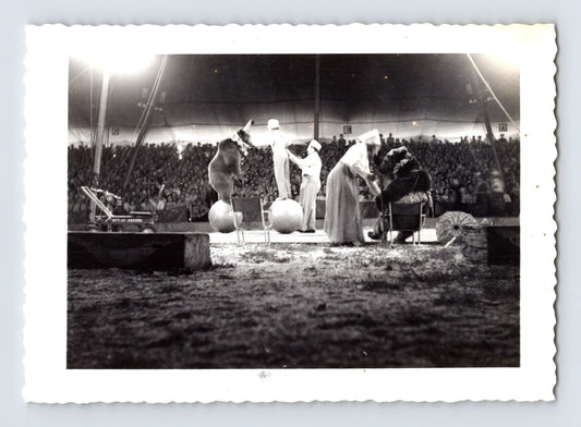 Ringling Bros Barnum Bailey Circus Bear Performance Ring 1940s Photo 3 x 4.5