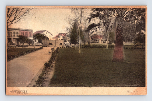 Watsonville California plaza park with walkway palm tree and arched bridge 1907 postcard