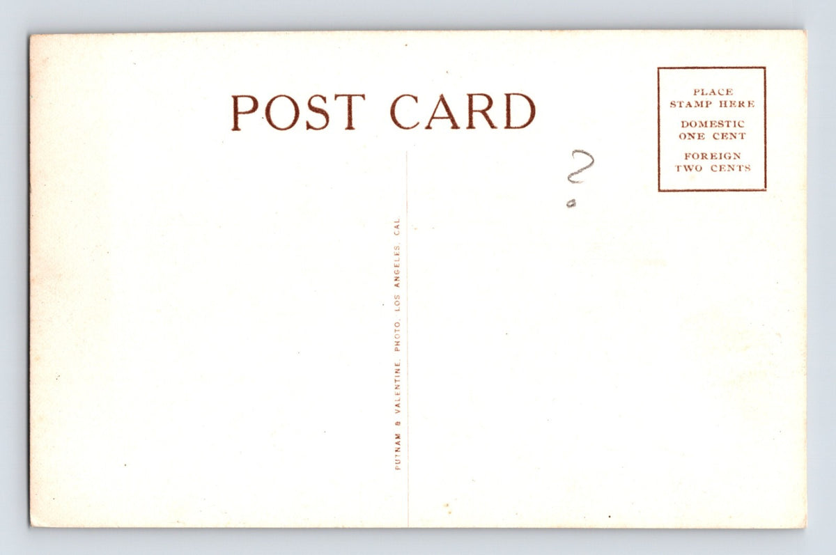 Mount Tamalpais California Tavern Restaurant Railroad 1920s RPPC Postcard
