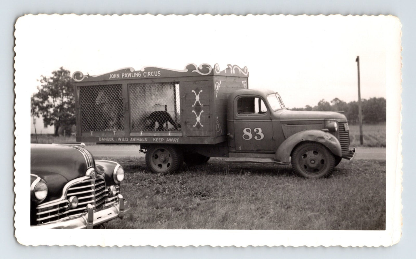 John Pawling Circus truck with wild animal cage body and number 83 parked in grassy field, 1940s snapshot photograph 1940s