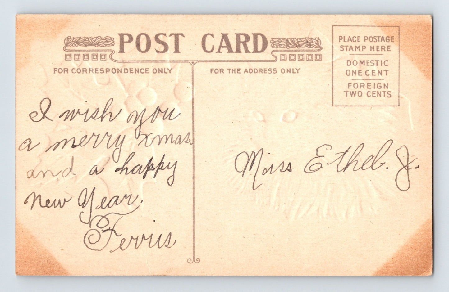 Christmas White Cat Holly 1910s Postcard Embossed Silver Background