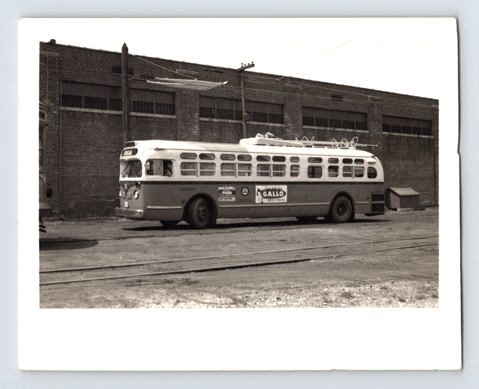 Palisades Park New Jersey Public Service trolley coach D200 1950s yard scene with Palisades Park Surf Bathing and Gallo advertising visible on side panels