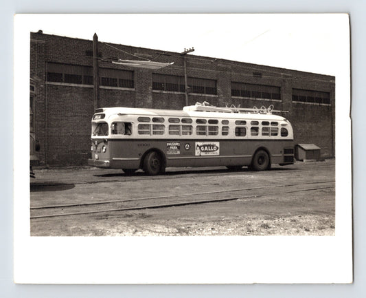 Palisades Park New Jersey Public Service trolley coach D200 1950s yard scene with Palisades Park Surf Bathing and Gallo advertising visible on side panels