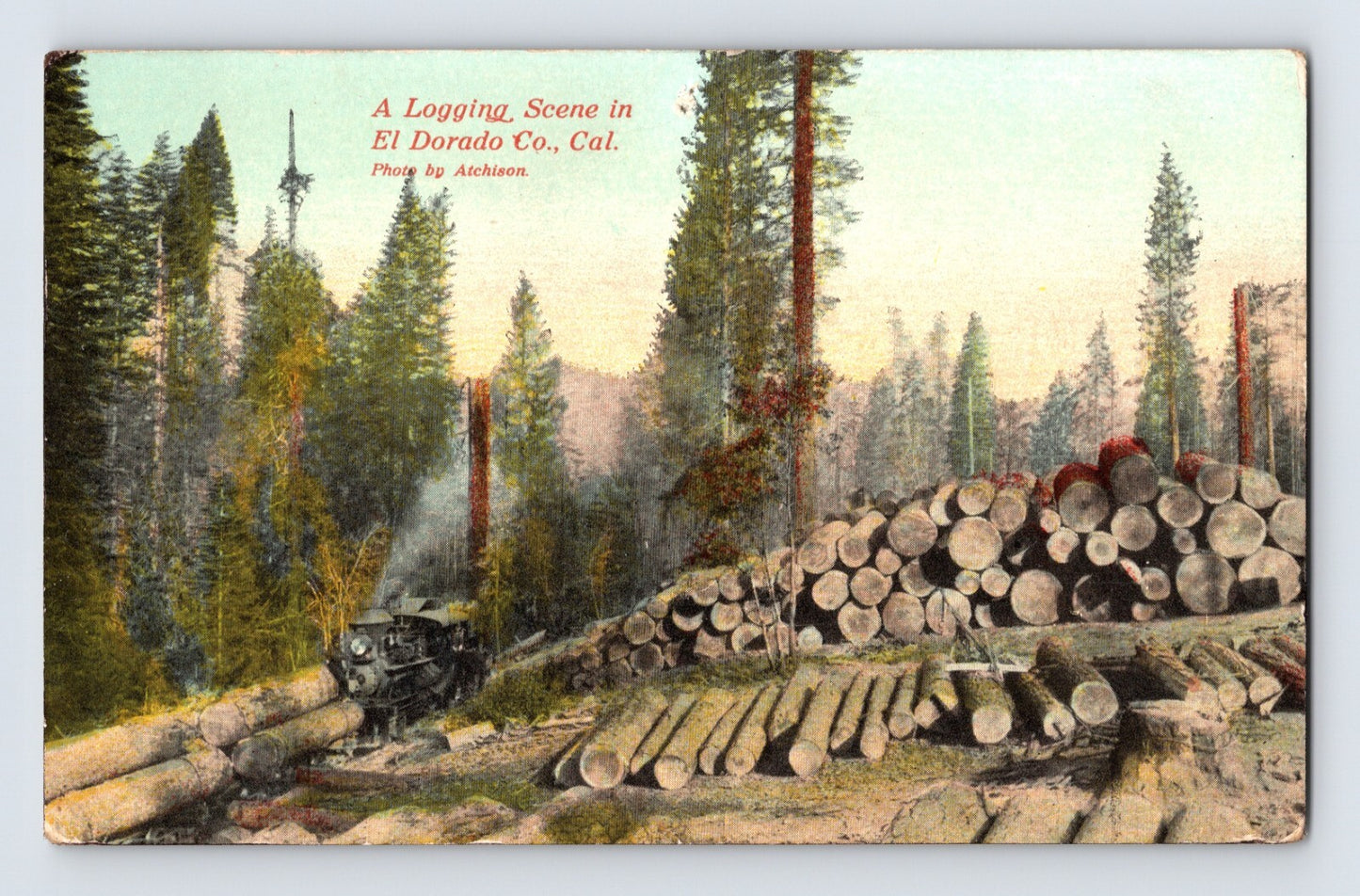 Placerville California Logging Train 1910s Postcard Unposted Divided Back