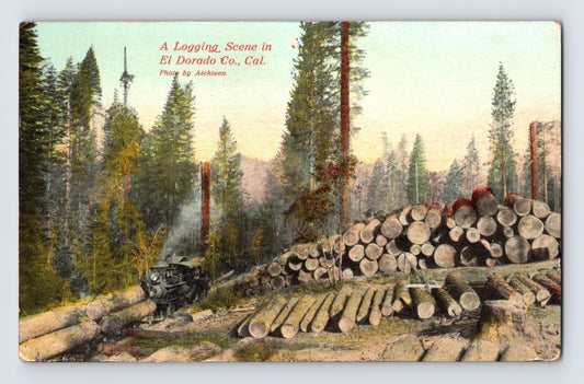 Placerville California Logging Train 1910s Postcard Unposted Divided Back