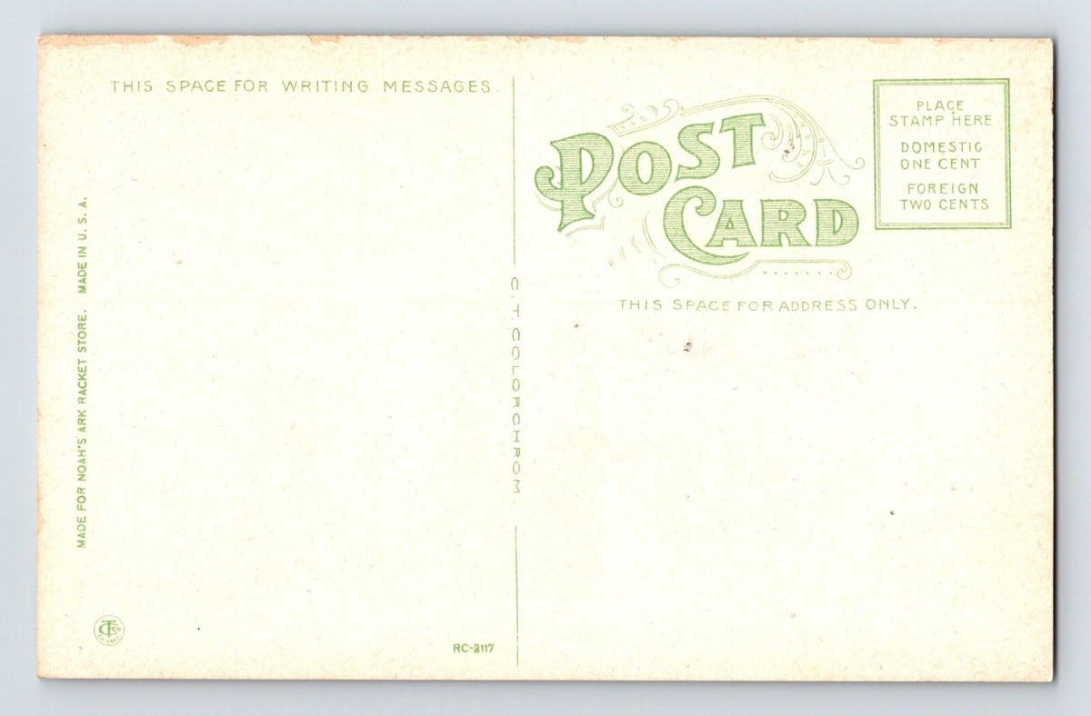 Loranger Louisiana Mercantile Company Building 1910s Postcard Unposted