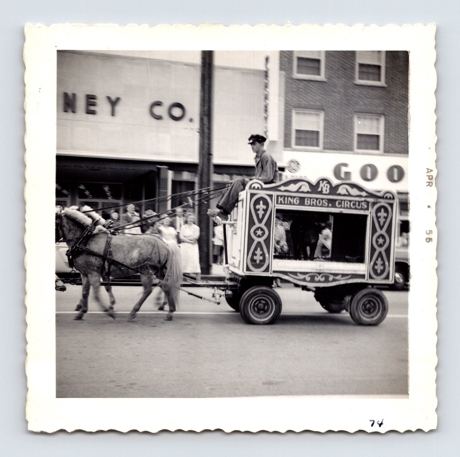 King Bros Circus 1955 horse-drawn animal wagon snapshot photograph moving through downtown Decatur GA during a circus parade
