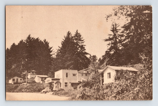 Alt Text
Crescent City California Oceanview Terraces Motel 1940s cabins hillside trees coastal roadside postcard