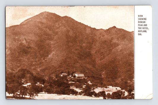Hopland California Duncan Peak Spring Hotel mountain landscape 1908 postcard sepia view