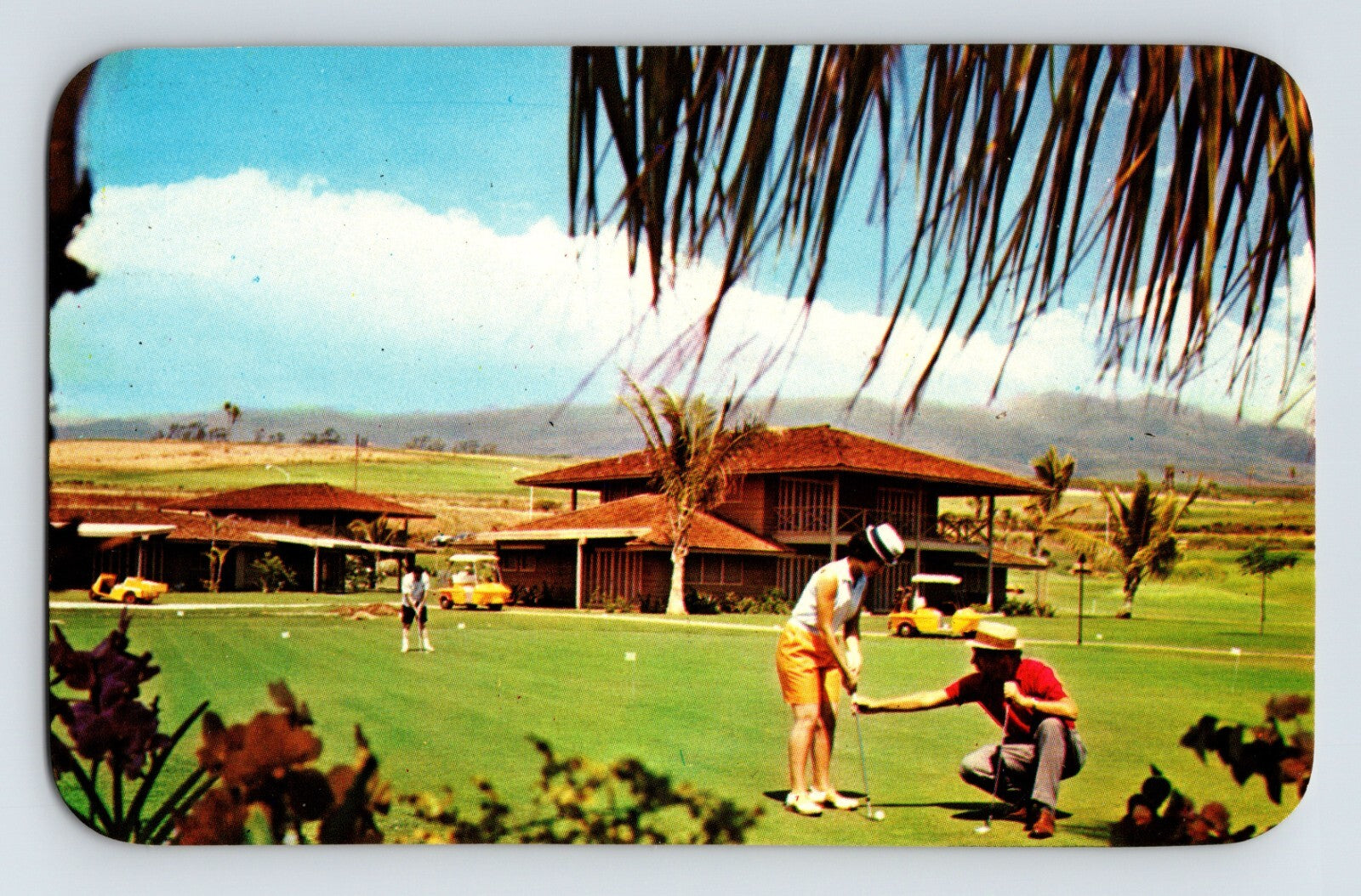 Maui Hawaii Royal Lahaina golf course putting green players postcard
