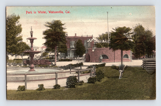 Watsonville California park winter fountain palm trees divided back postcard 1910s
