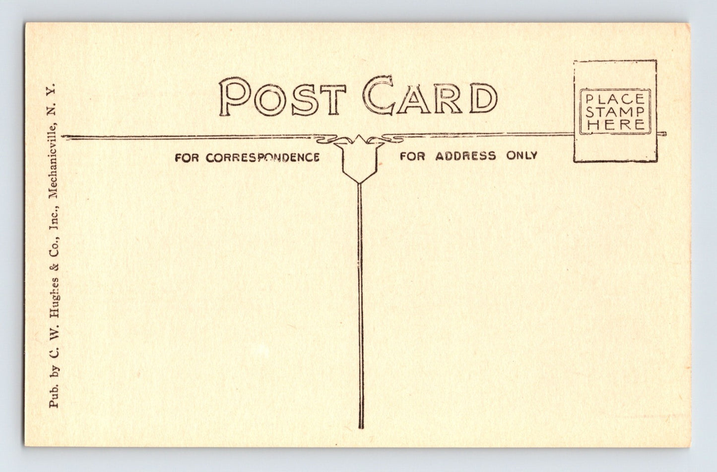 Adirondacks New York Mount Pokamoonshine 1920s Sepia Postcard