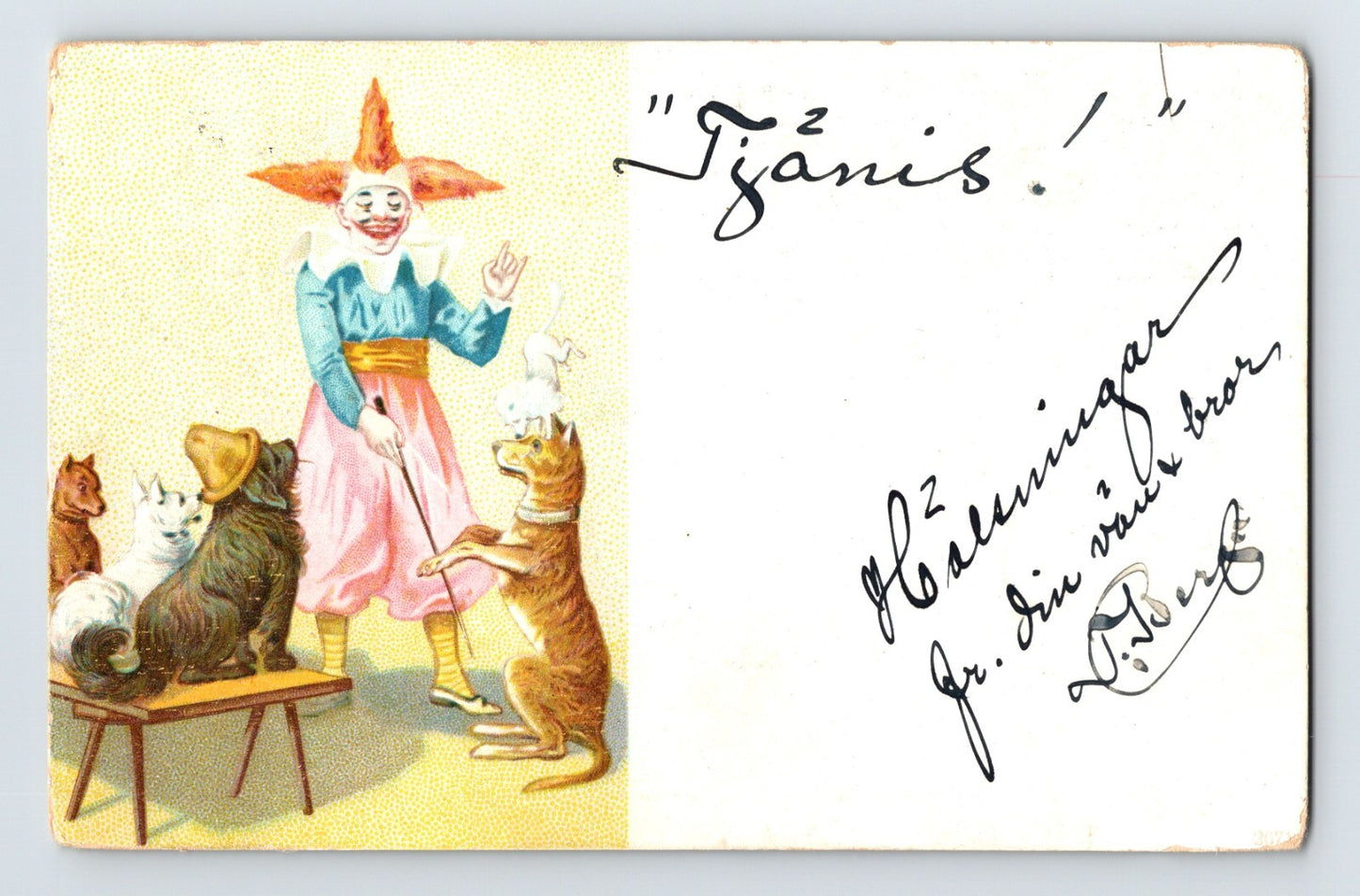 1907 Swedish postcard with clown dog trainer and performing dogs undivided back posted