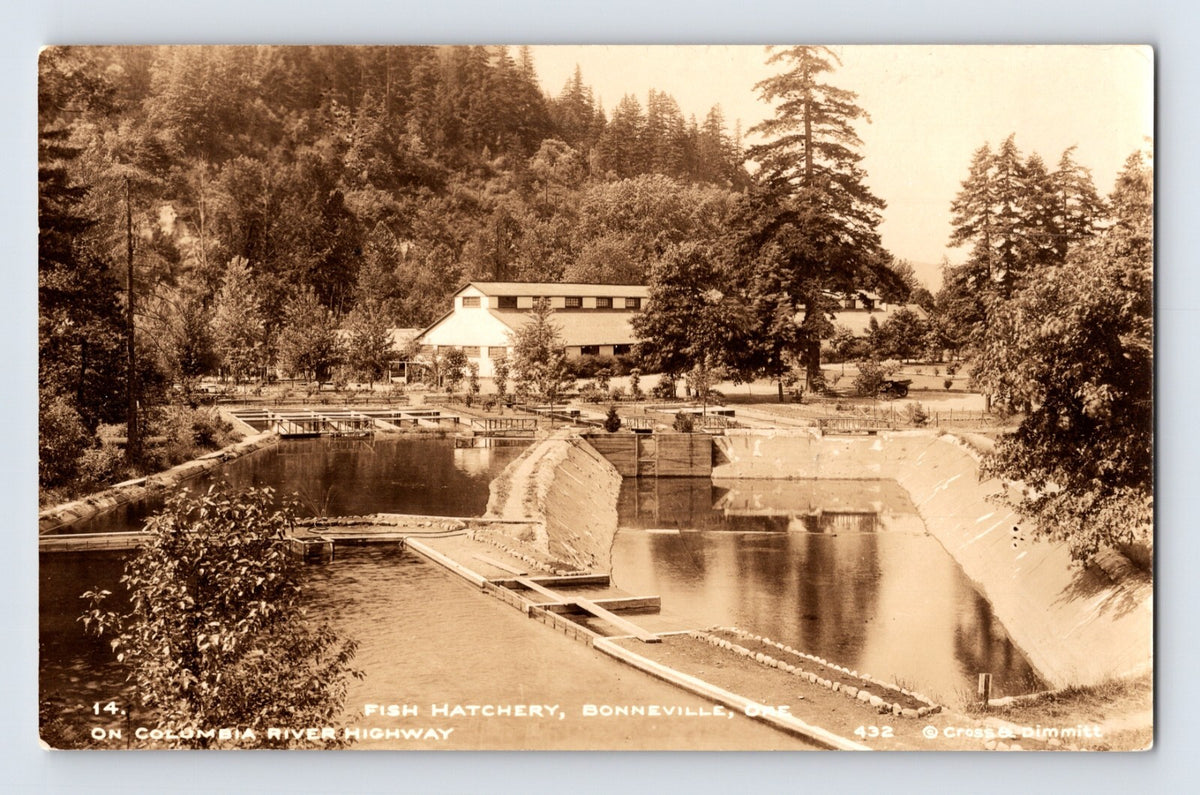 Bonneville Oregon fish hatchery Columbia River Highway ponds buildings real photo postcard