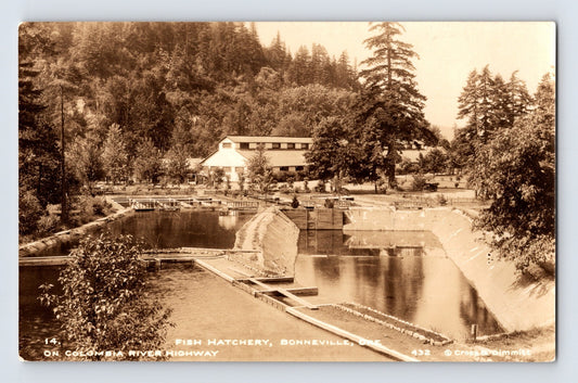 Bonneville Oregon fish hatchery Columbia River Highway ponds buildings real photo postcard