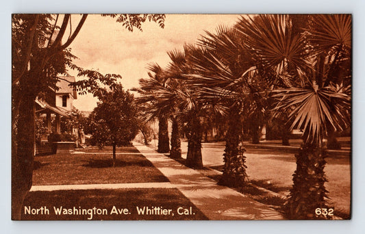Whittier California North Washington Avenue 1910s palm lined street sidewalk residential sepia postcard