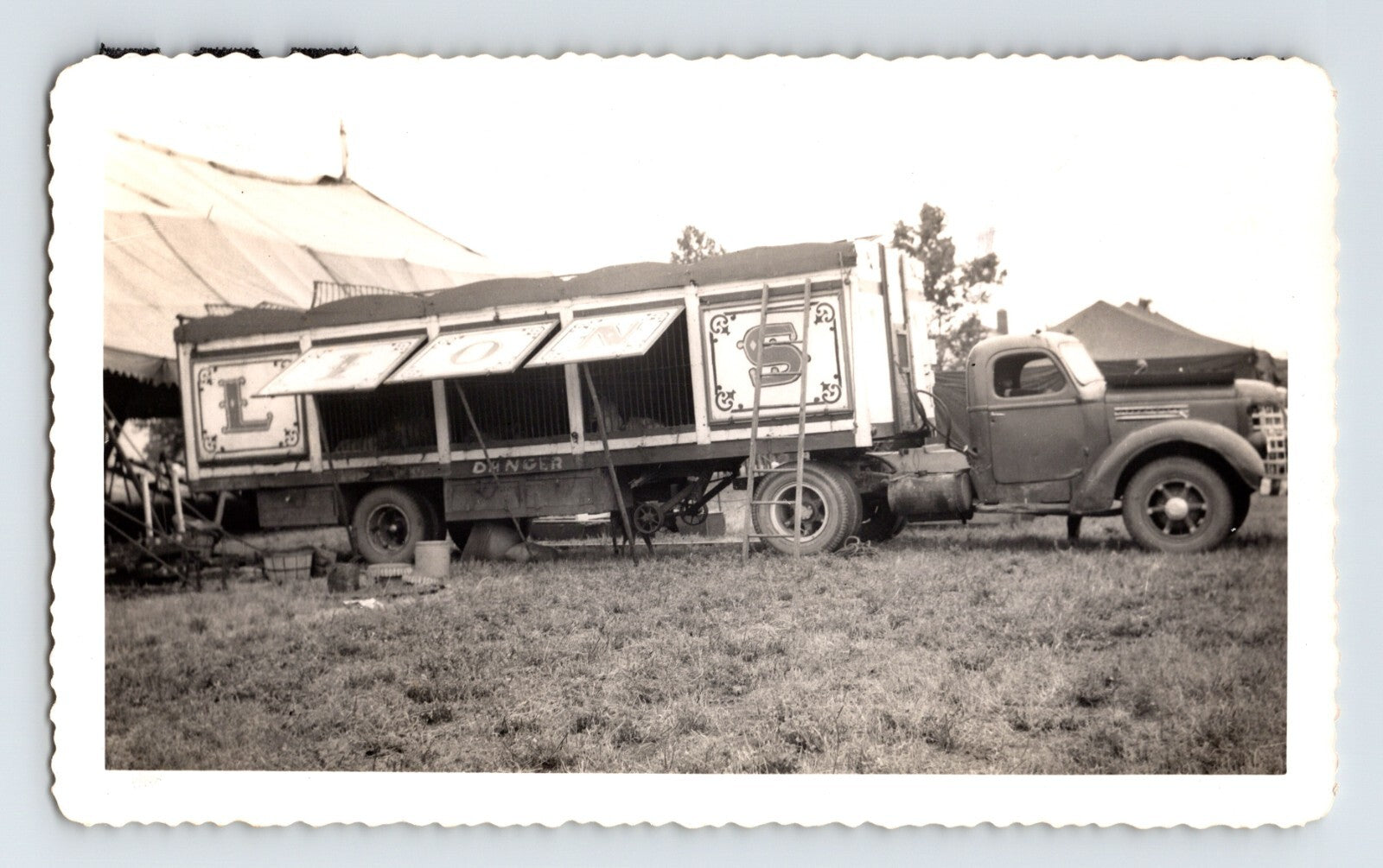 1949 John Pawling Circus truck with lion cage trailer and tent background 5.5 x 3.5 photo