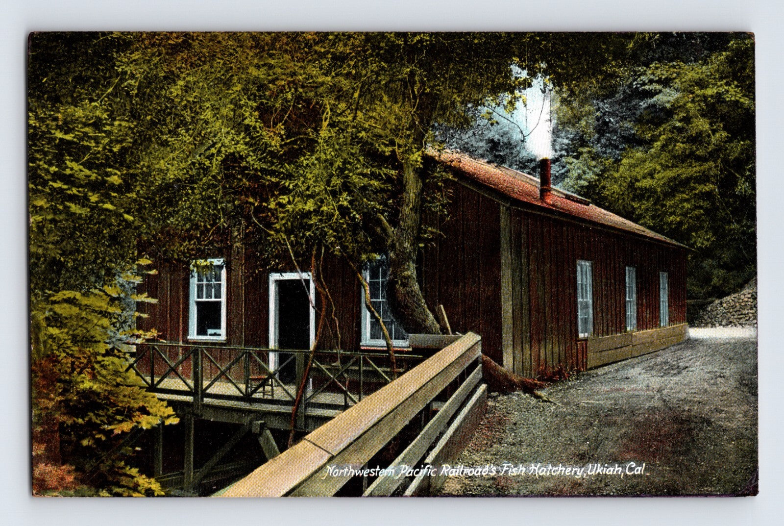 Ukiah California Northwestern Pacific Railroad fish hatchery postcard 1910s
