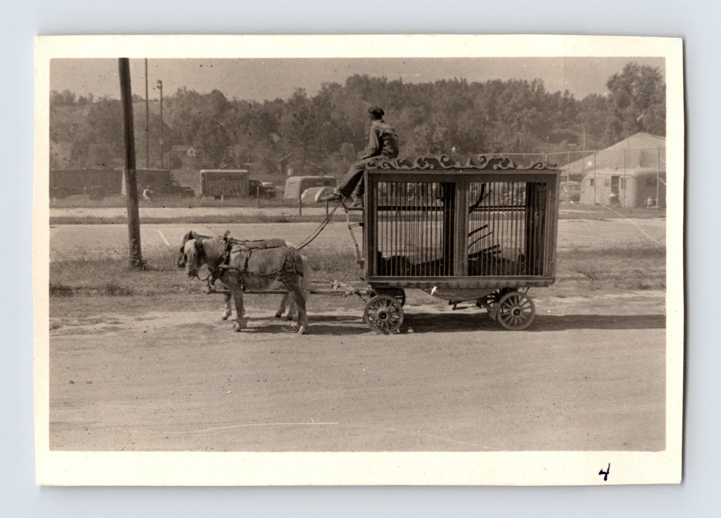 King Bros Cristiani Circus 1950s photo animal cage wagon pulled by pony Helena Arkansas