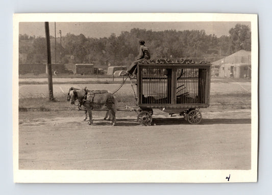 King Bros Cristiani Circus 1950s photo animal cage wagon pulled by pony Helena Arkansas