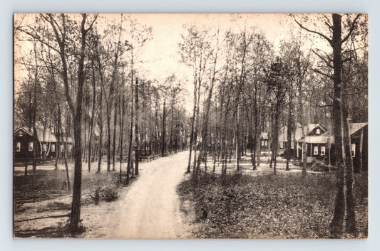 Southold New York Long Island Goose Bay estate cottages wooded lane 1930s postcard