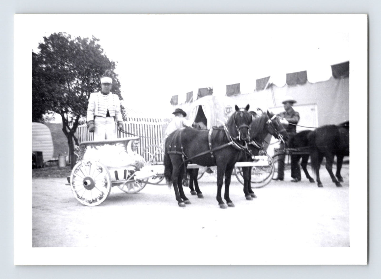 Disneyland Mickey Mouse Club Circus chariot adds mule Cinderella coach rear 1955 photo Anaheim California