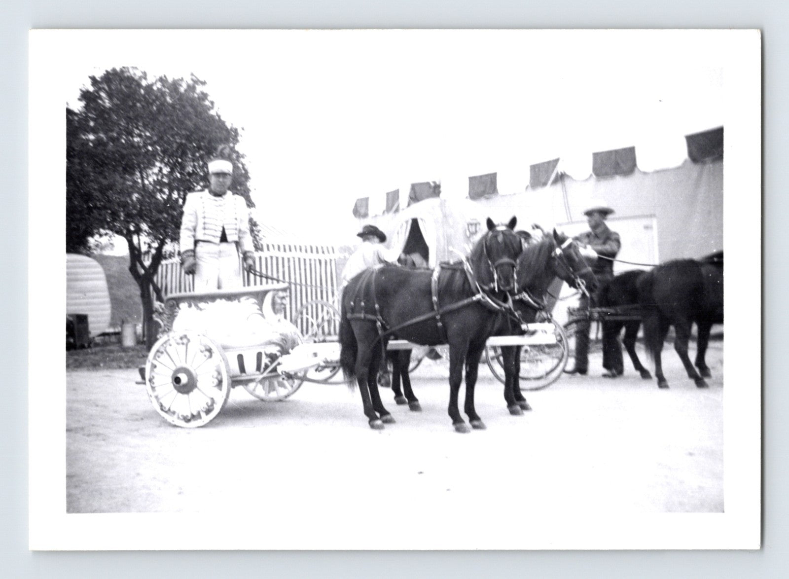 Disneyland Mickey Mouse Club Circus chariot adds mule Cinderella coach rear 1955 photo Anaheim California