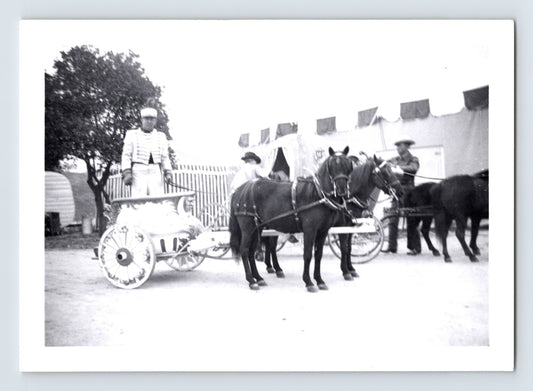Disneyland Mickey Mouse Club Circus chariot adds mule Cinderella coach rear 1955 photo Anaheim California