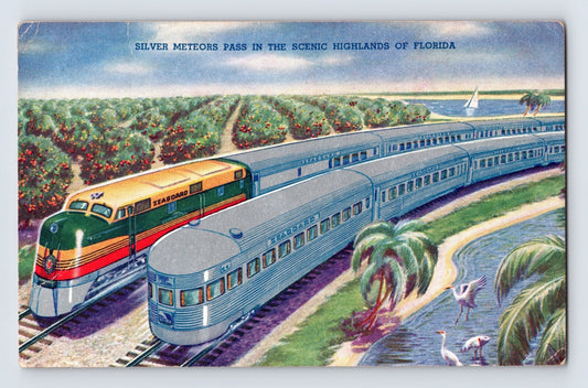 Seaboard Air Line Railroad Silver Meteor streamliner chrome postcard with illustrated passenger train passing through tropical Florida scenery.