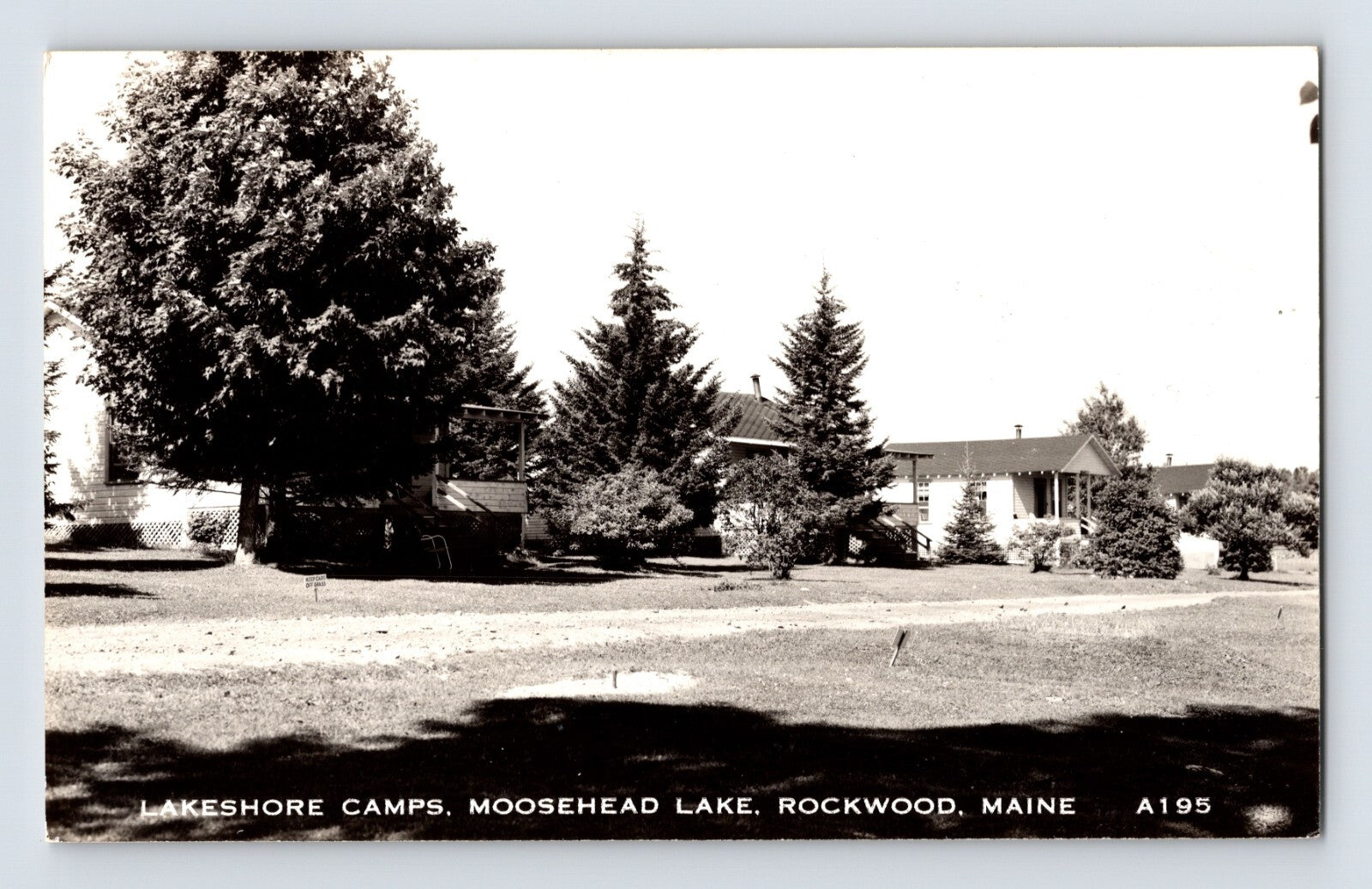 Rockwood Maine Lakeshore Camps Moosehead Lake cabins shoreline real photo postcard