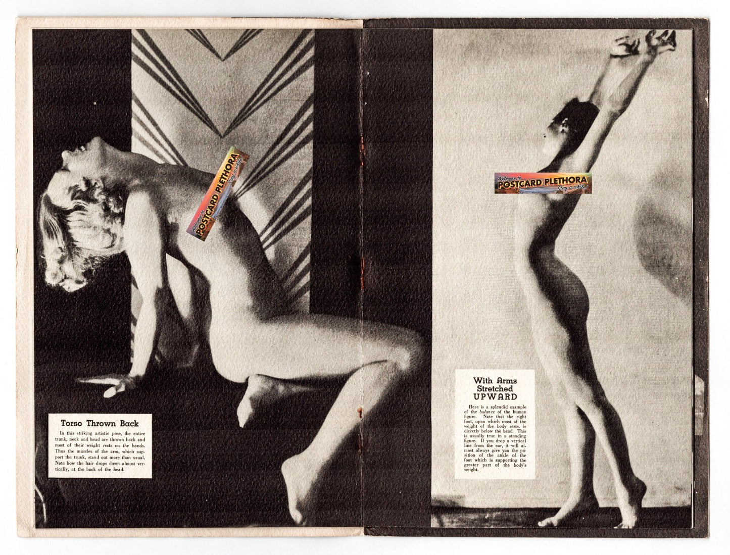 Life Class Book Arthur Luchs 1947 Nude Drawing Art Study Risque Vintage Pin Up