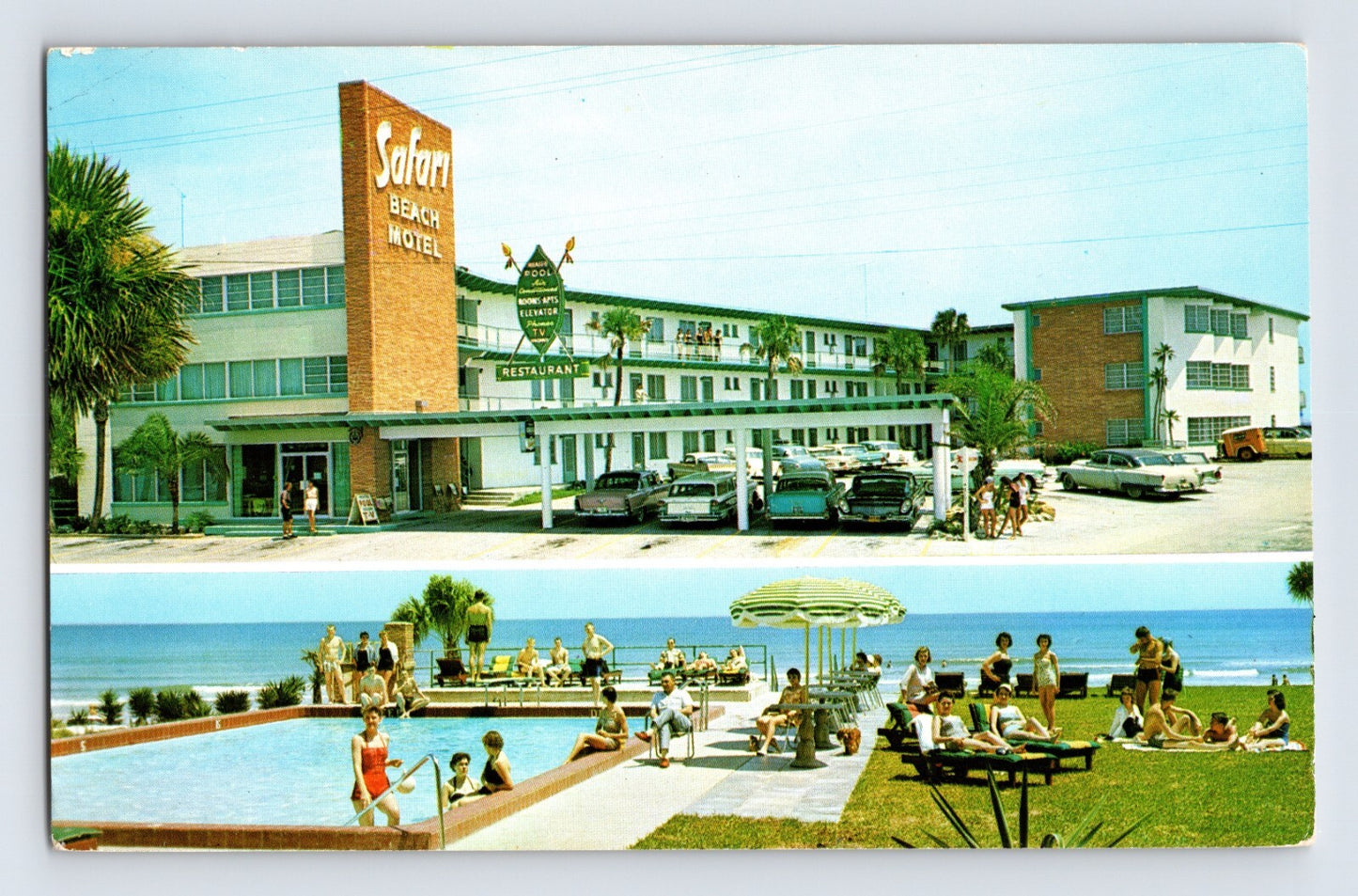 Daytona Beach Florida Safari Beach Motel pool oceanfront cars 1961 chrome postcard