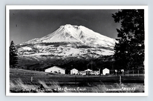 Weed California Mount Shasta Weed High School 1940s RPPC Postcard Unposted