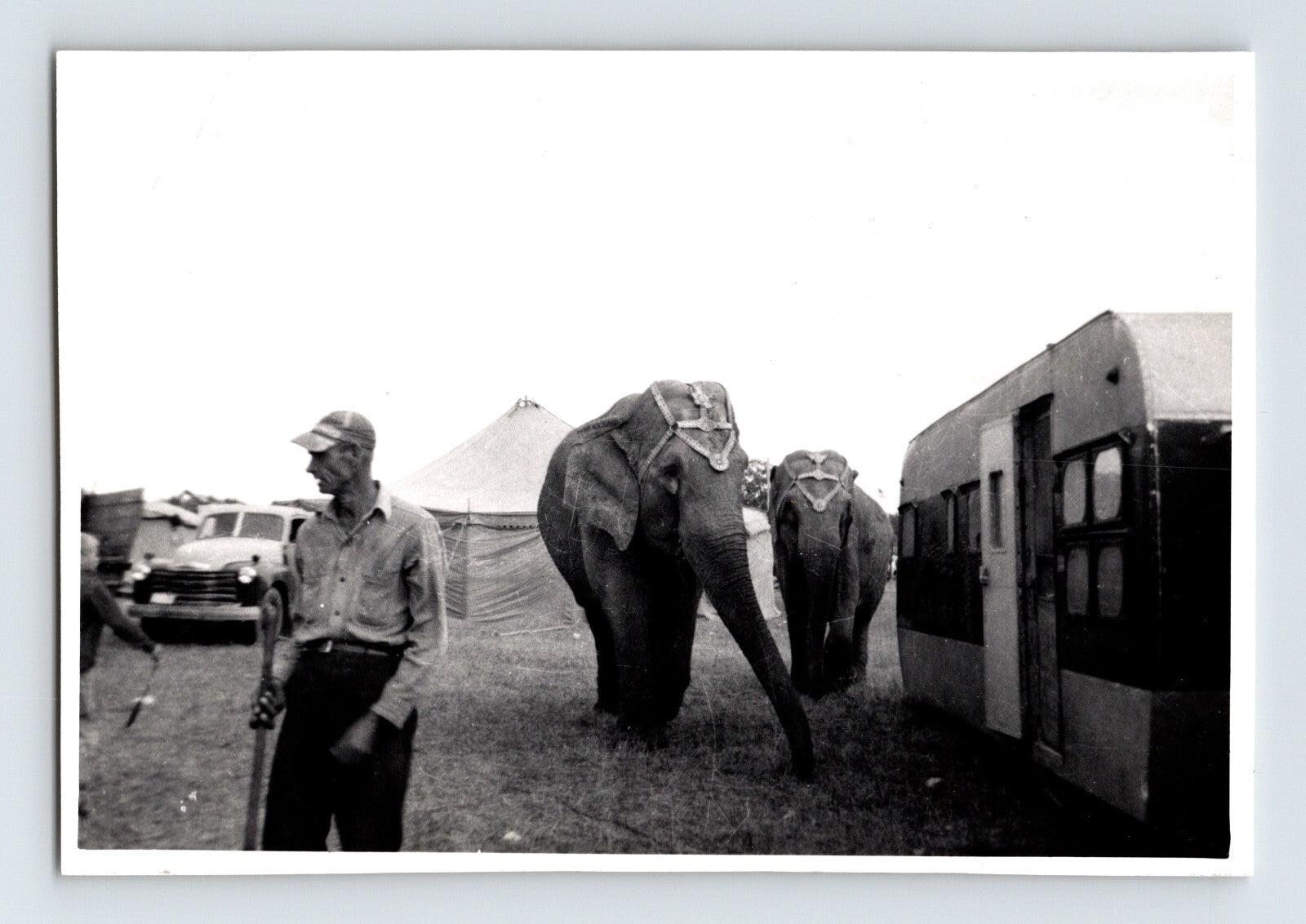 Kelly Morris Circus elephants costume headpieces trailer 1954 photo lot scene 4.5 x 3