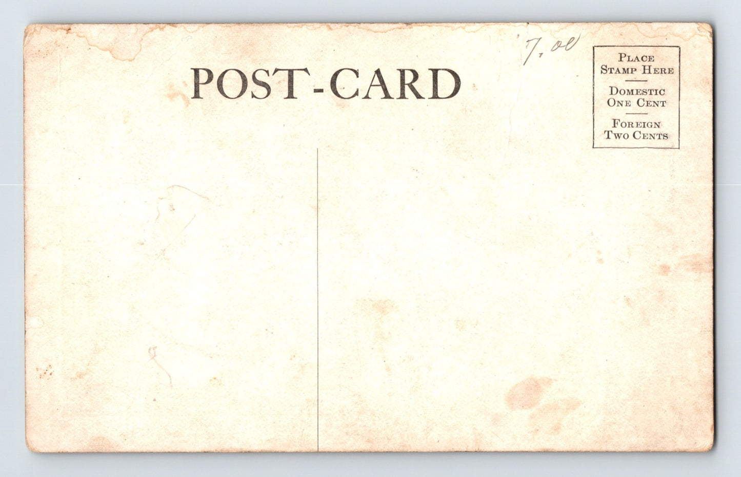 Port Angeles Washington Whaling 100 Ton Whale Luna Park 1907 Postcard