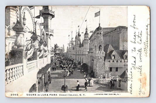 New York City Coney Island Luna Park 1906 Postcard Posted Undivided Back