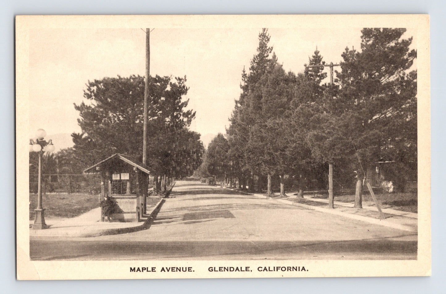 Maple Avenue Glendale California tree lined street 1920s postcard front view