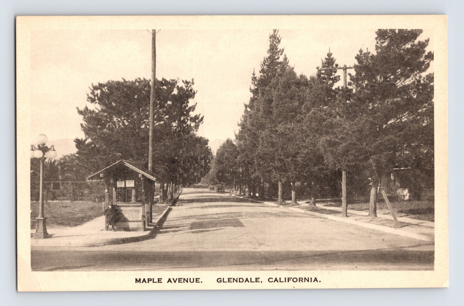 Maple Avenue Glendale California tree lined street 1920s postcard front view