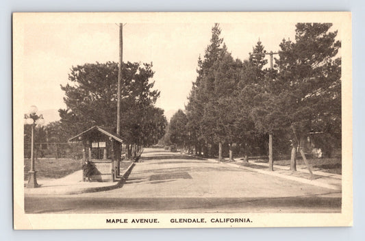 Maple Avenue Glendale California tree lined street 1920s postcard front view