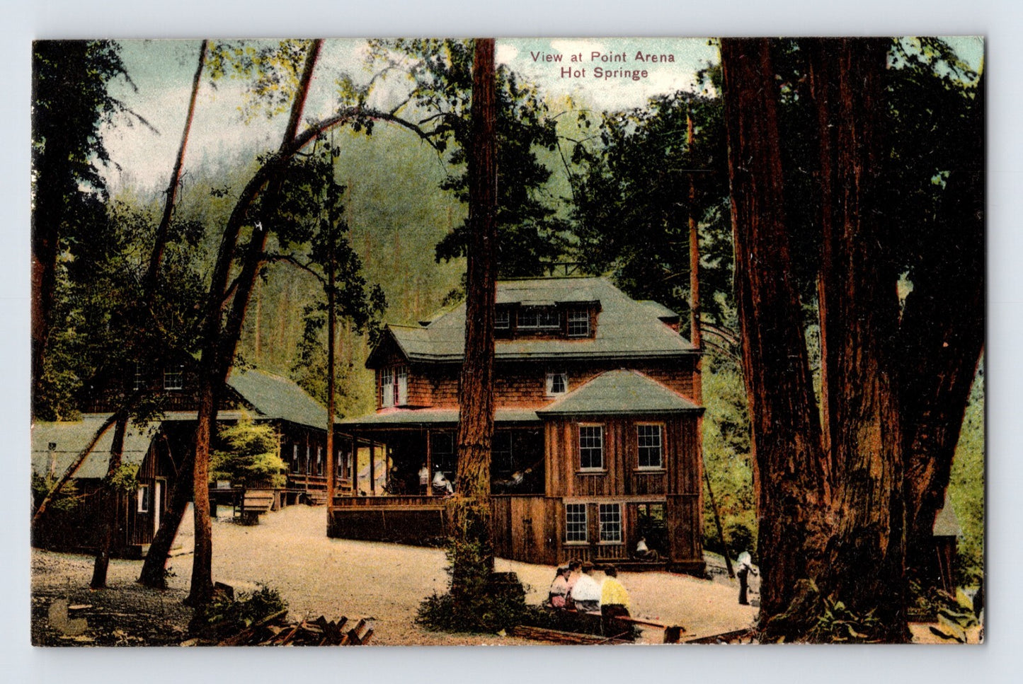 Point Arena California Hot Springs resort buildings among redwoods 1910s postcard