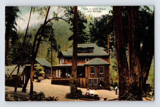 Point Arena California Hot Springs resort buildings among redwoods 1910s postcard