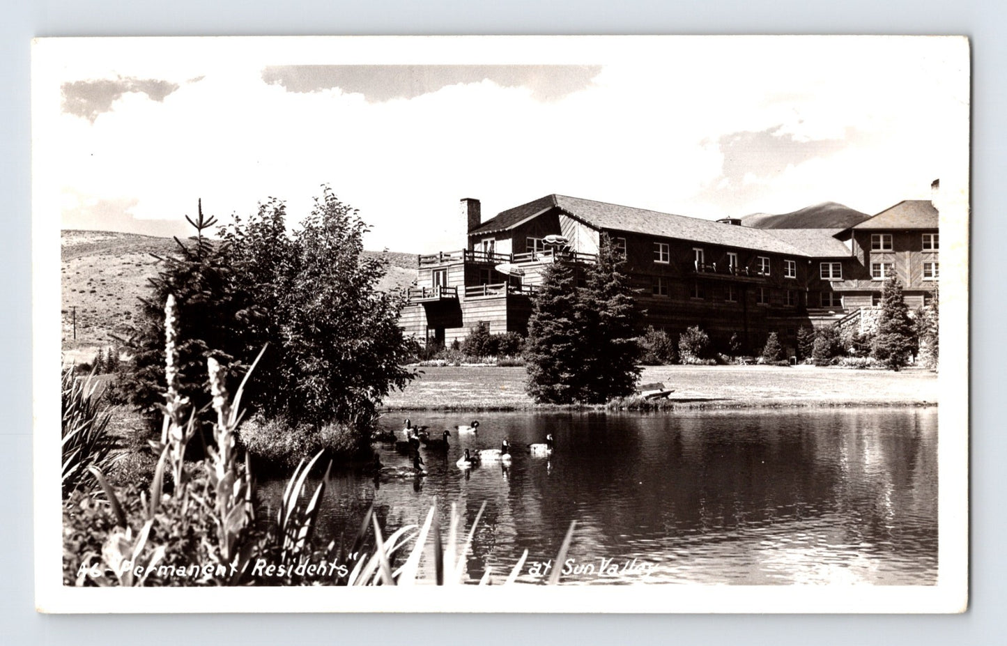 Sun Valley Idaho Lodge Hotel Duck Pond 1950s Postcard Unposted