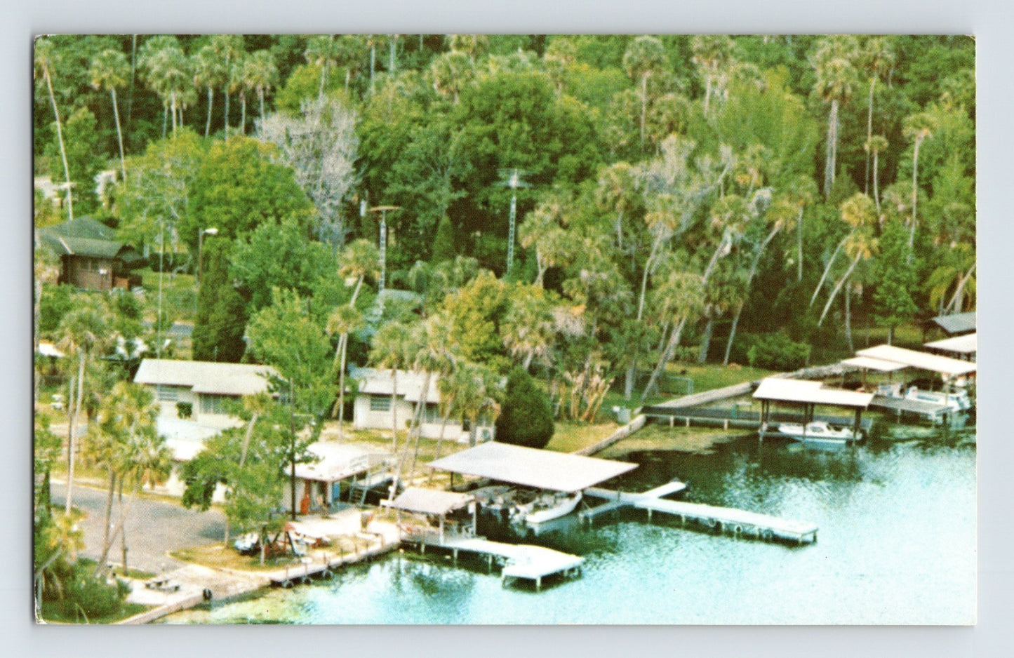 Homosassa Florida Harmans Cottage Camp Ground 1970s Postcard Posted Chrome