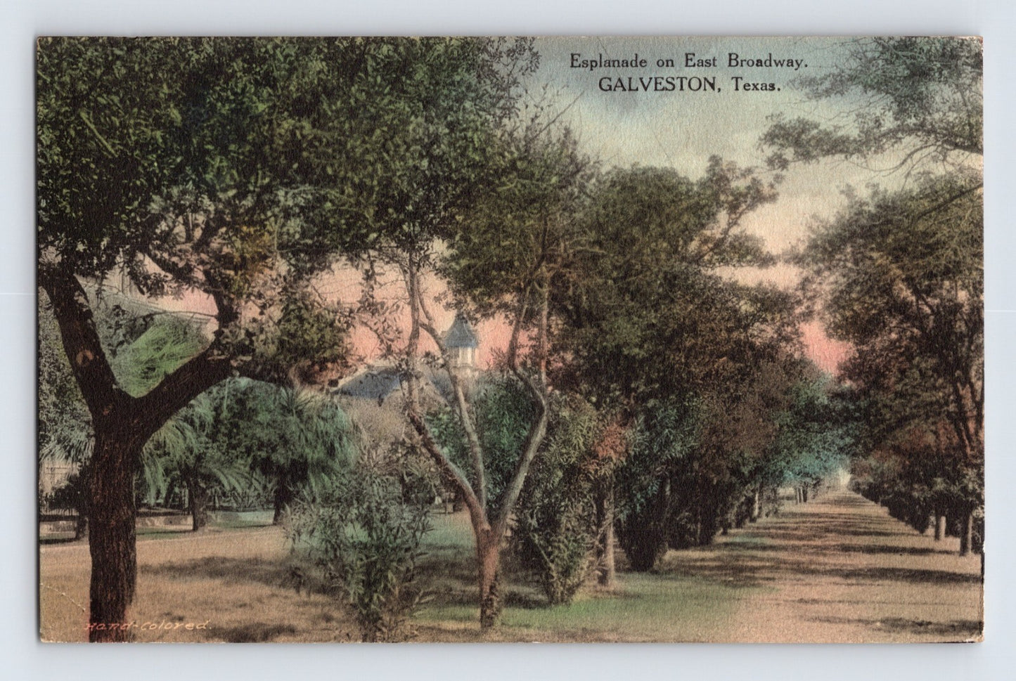 Galveston Texas East Broadway Esplanade tree lined avenue 1916 hand colored postcard