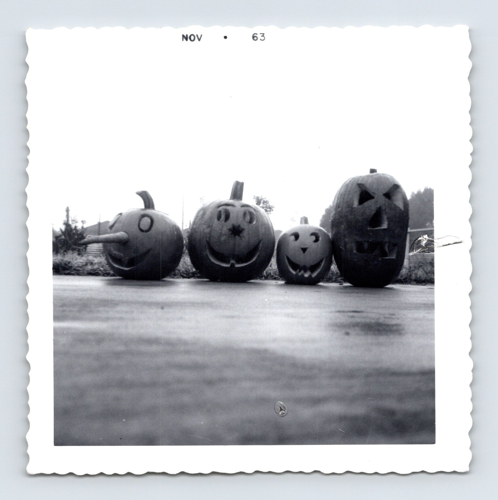 Halloween jack o lantern pumpkins row outdoor 1963 vintage snapshot photo 3.5 x 3.5